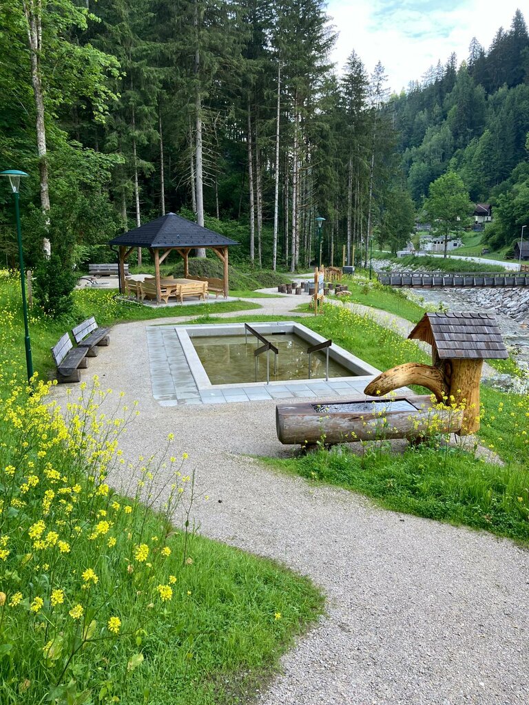 Öblarn floodplain - Imprese #2.3 | © Nadine Schrempf