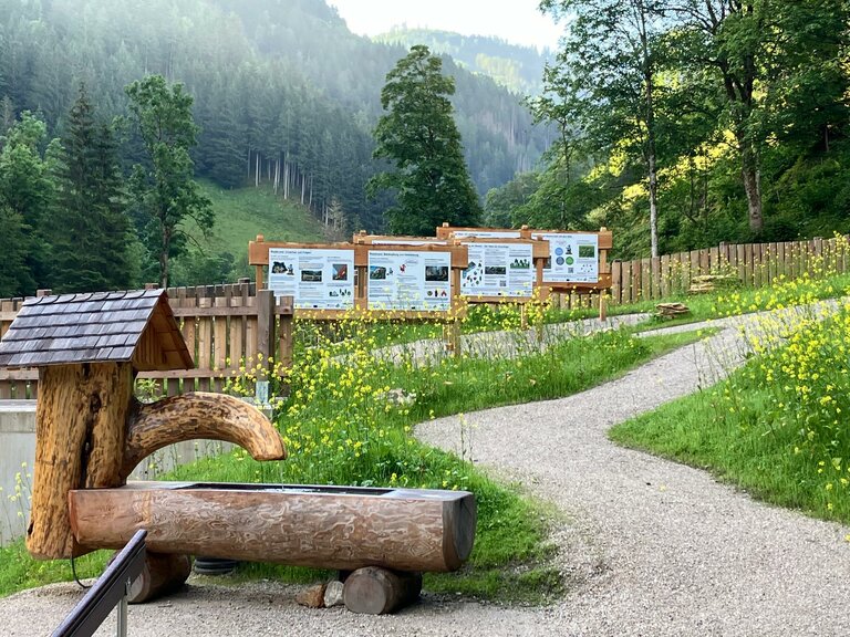 Öblarn floodplain - Imprese #2.7 | © Nadine Schrempf