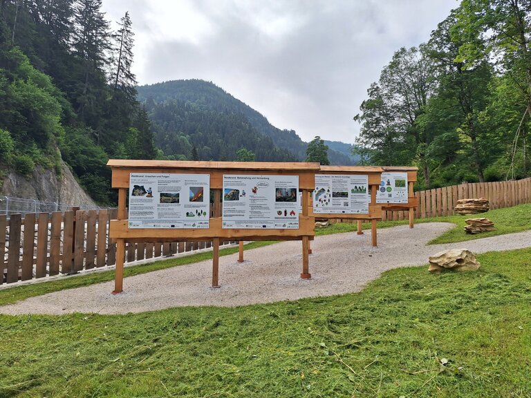 Öblarn floodplain - Imprese #2.9 | © Nadine Schrempf