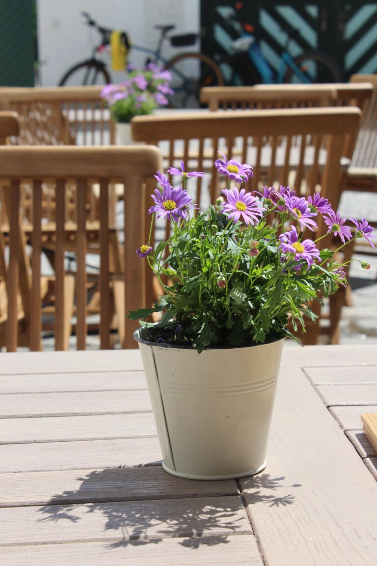 Kaffeerina - Impression #2.2 | © Katharina Zeiler