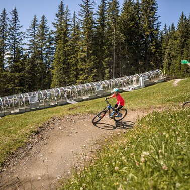 Junge Downhill Biker im Bikepark Planai | © Roland Haschka