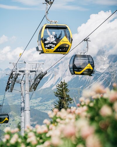 © Bartek Pawlikowski