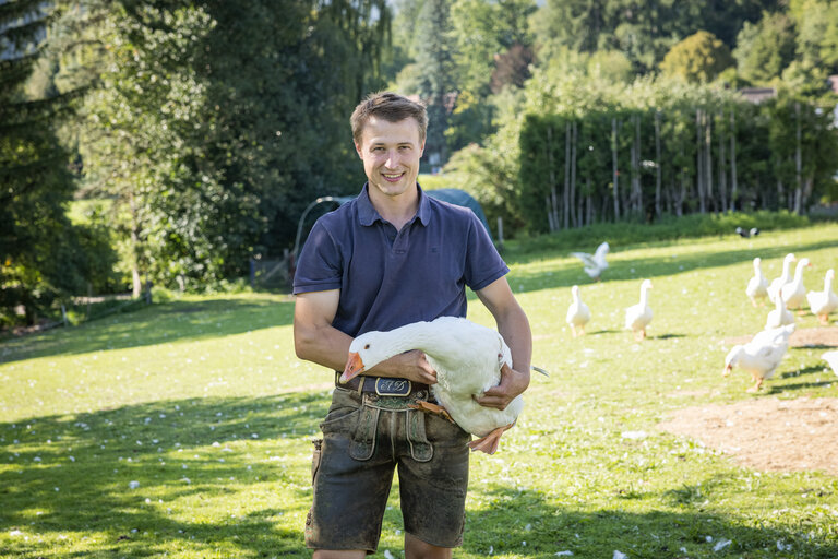 Gänse am Landgut Putterer | © Netzwerk Kulinarik wildbild