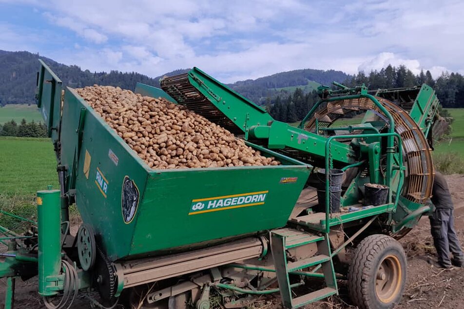 Moar in Niederdorf | © Moar in Niederdorf