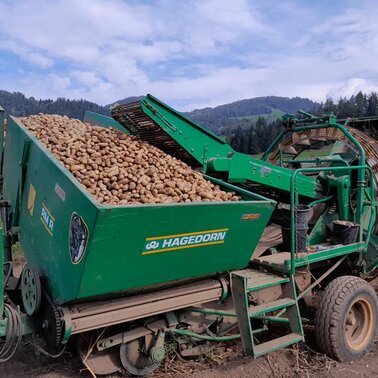 Moar in Niederdorf | © Moar in Niederdorf