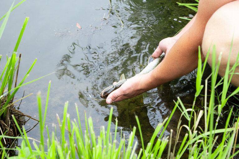 Irdning Fishing Club - Impression #2.3 | © Fischereiverein Irdning