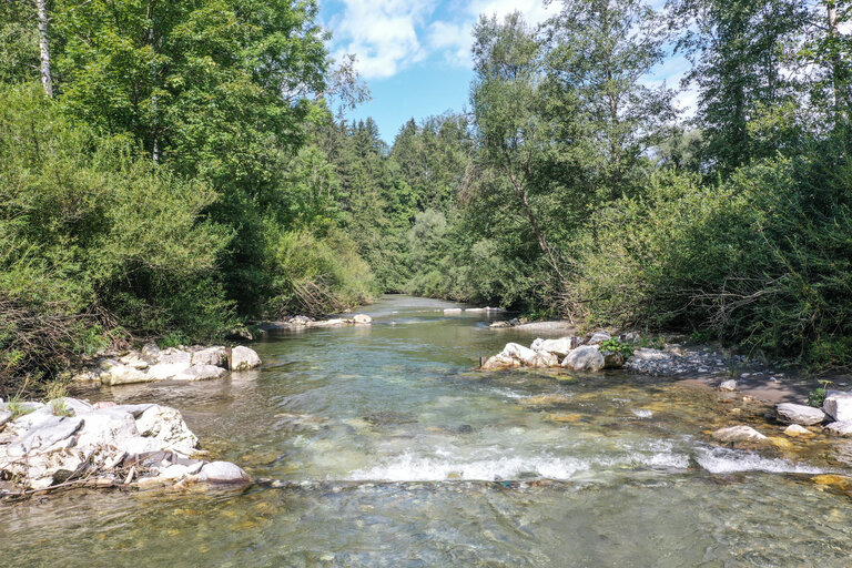 Fischen im Donnersbach | © Fischereiverein Irdning