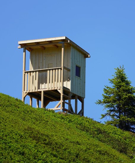 © Riesneralm Bergbahnen