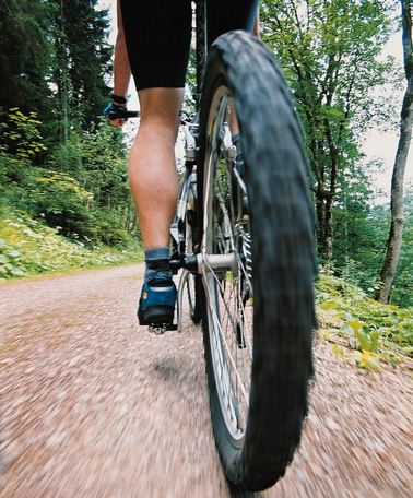 © Steiermark Tourismus/Tom Lamm