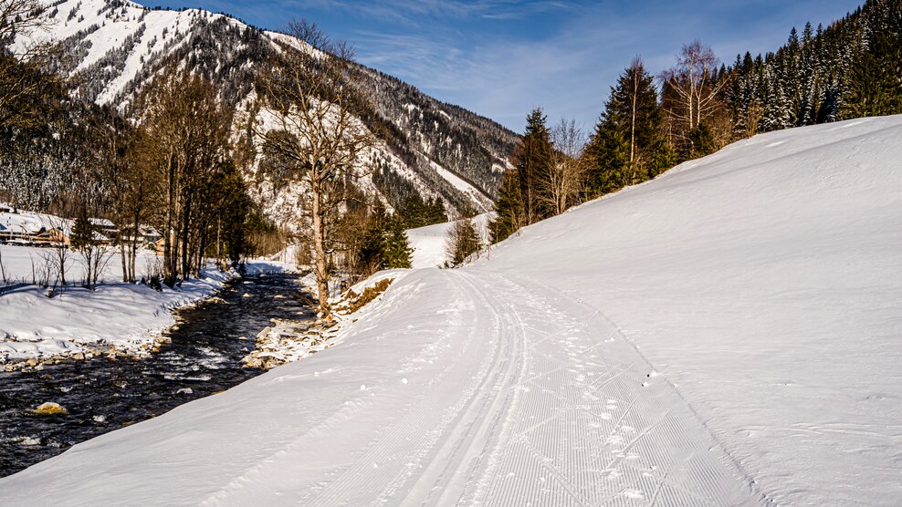 Langlaufloipe Hinterwald im Donnersbachtal in der Region Schladming-Dachstein | © Gerhard Pilz - gpic.at