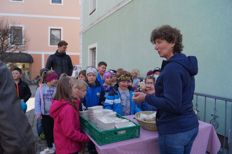 Enjoy day "Potatoes" - Impression #2.2 | © Marianne Ritzinger