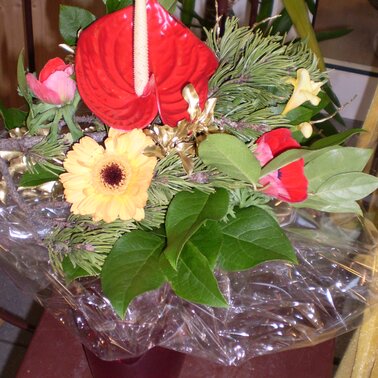 Symbolfoto  | © Blumen Sissy 