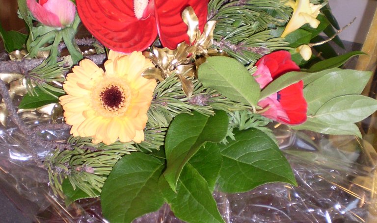 Symbolfoto  | © Blumen Sissy 