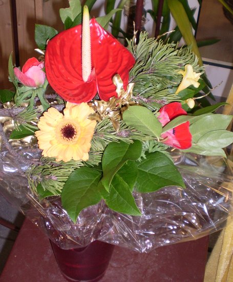 Symbolfoto  | © Blumen Sissy 