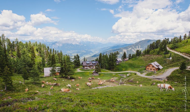 Aussicht auf der Galsterbergalm | © Lukas Bezila