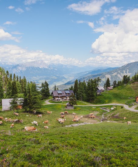 Aussicht auf der Galsterbergalm | © Lukas Bezila