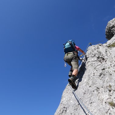 Klettersteiggarten am Stoderzinken  | © Alois Guggi