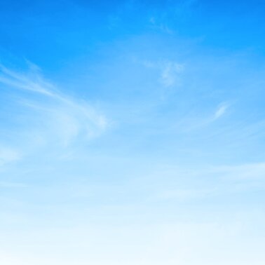 Lilabunt & Himmelblau  | © Symbolfoto 