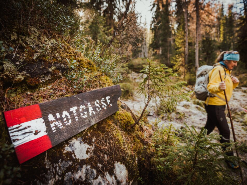 Guided emergency lane hike - Impression #1 | © Christoph Huber 