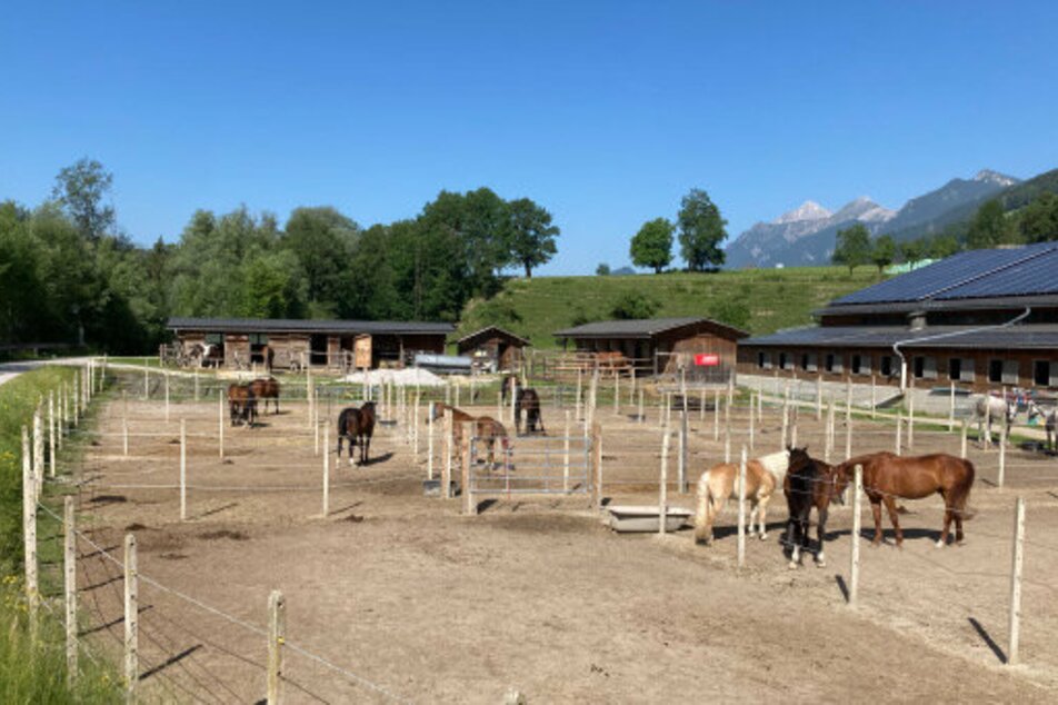 Horse riding Dunner - Impression #1 | © Reitsportzentrum Dunner