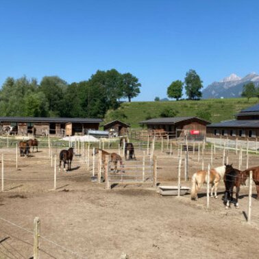 Reitplatz | © Reitsportzentrum Dunner