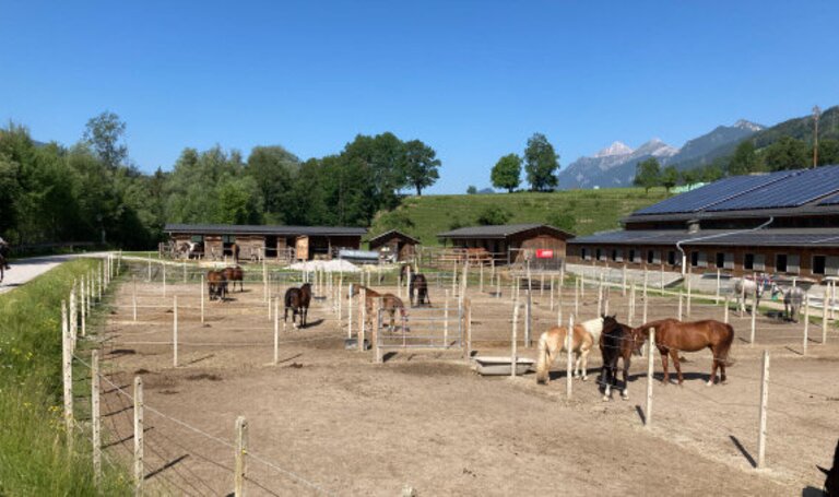 Reitplatz | © Reitsportzentrum Dunner