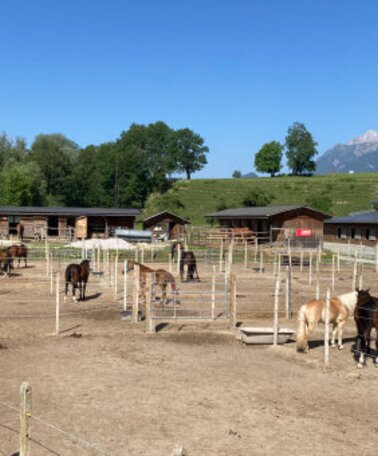 Reitplatz | © Reitsportzentrum Dunner