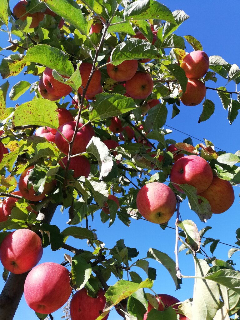 Markus Putz | © Markus Putz