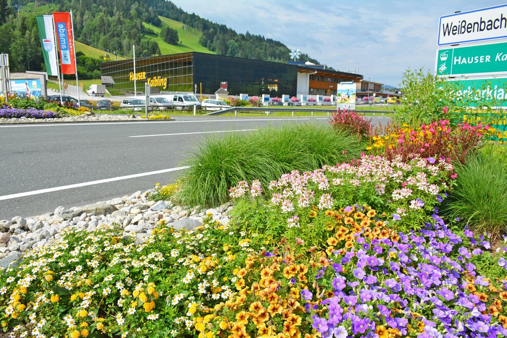 Blumenbeet vor dem Hauser Kaibling | © Marktgemeinde Haus