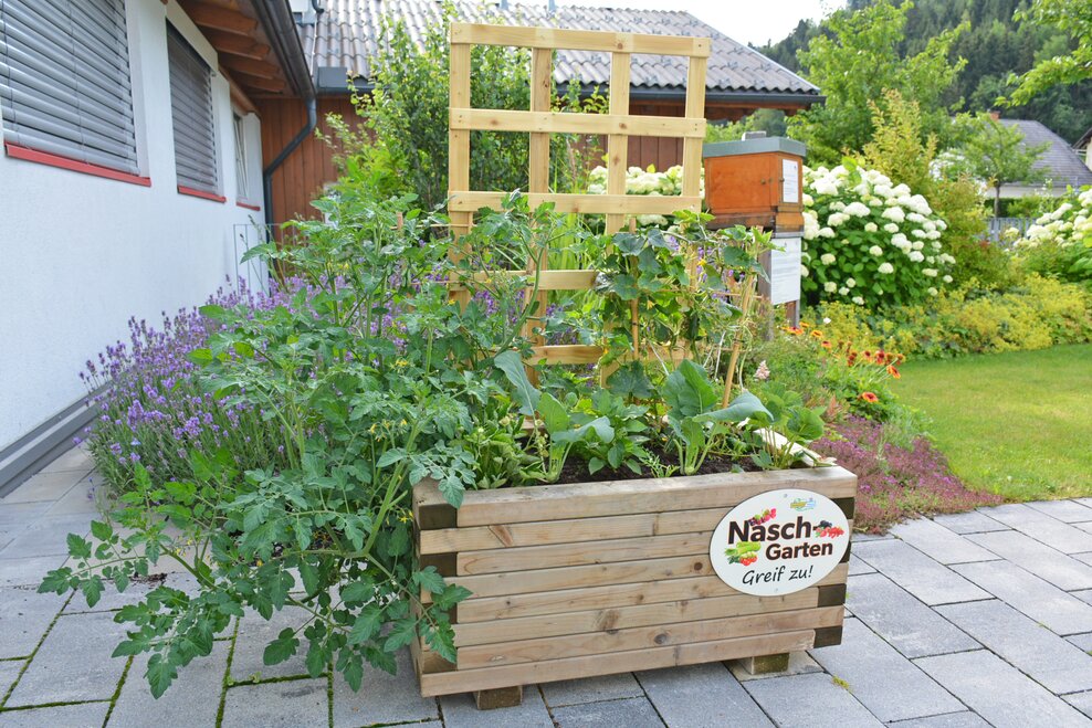 Naschgarten am Schlossplatz | © Marktgemeinde Haus