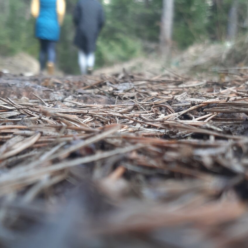 Waldweg | © TVB Haus-Aich-Gössenberg