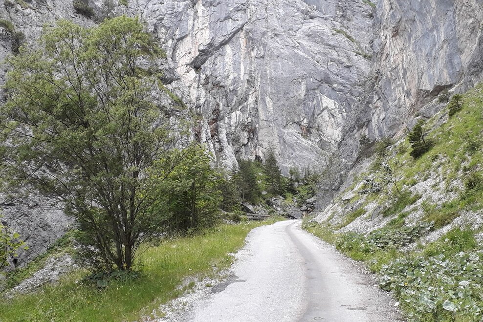 Bergstraße zwischen Felsklüften | © TVB Haus-Aich-Gössenberg