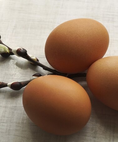 Eier | © Symbolfoto