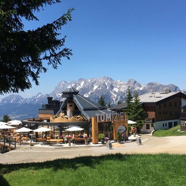 TOMiziel im Sommer | © TOMiziel