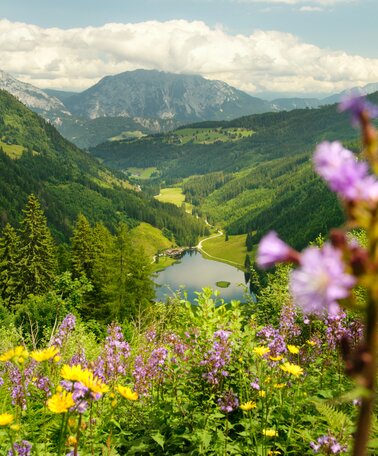 Steirischer Bodensee | © Marlene Eggmayr