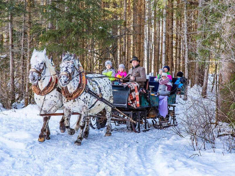 Pferdeschlittenfahrt | © TVB Haus-Aich-Gössenberg@René Eduard Perhab