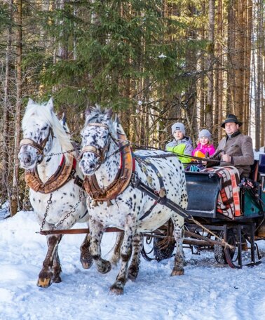 Pferdeschlittenfahrt | © TVB Haus-Aich-Gössenberg@René Eduard Perhab