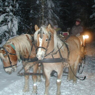 Pferdeschlittenfahrt am Abend | © Reiterhof Aigner
