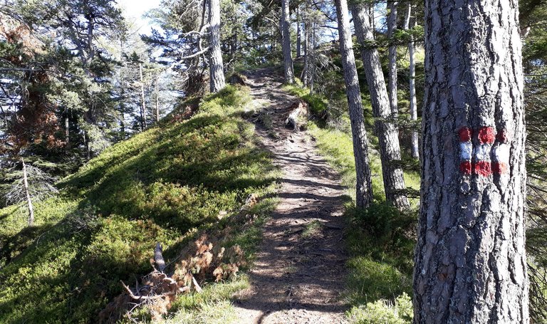 Freienstein Trail | © TVB Haus-Aich-Gössenberg