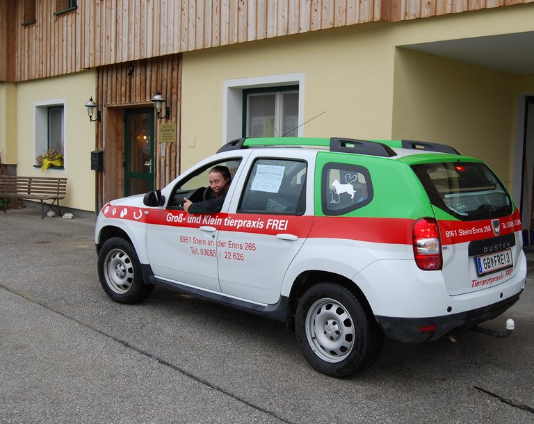 Large and small animal practice Frei - Impression #2.2