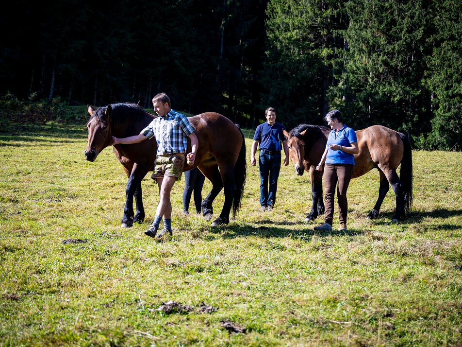 Köck Pferdekutschenfahrten - Impression #1 | © Karl Brandner