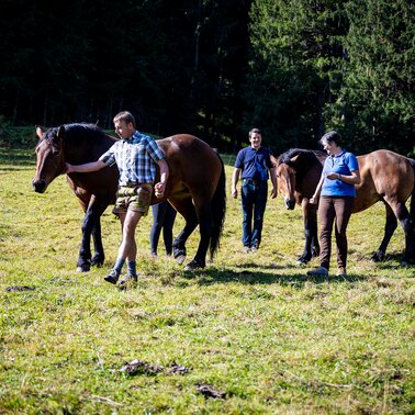Familie Brandner mit Pferden | © Karl Brandner