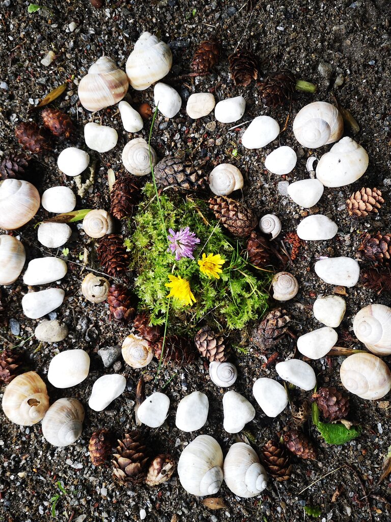 Naturmaterialien | © Naturpark Sölktäler