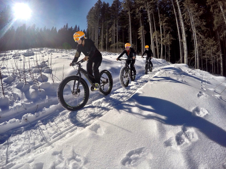 Fatbiken auf Waldwegen.  | © Alpine Fatbike