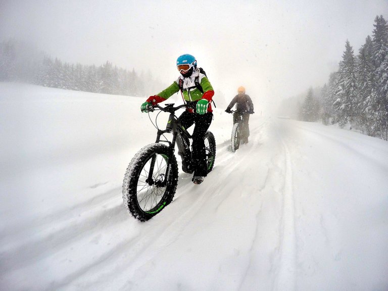 Gruppe am Fatbiken auf dem Schlittenweg. | © alpinefatbike.com
