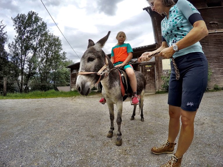 Dachstein Bike Guides - Imprese #2.11 | © www.dachstein-bike.at