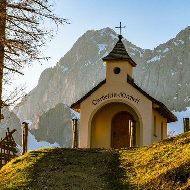 © Christine Höflehner