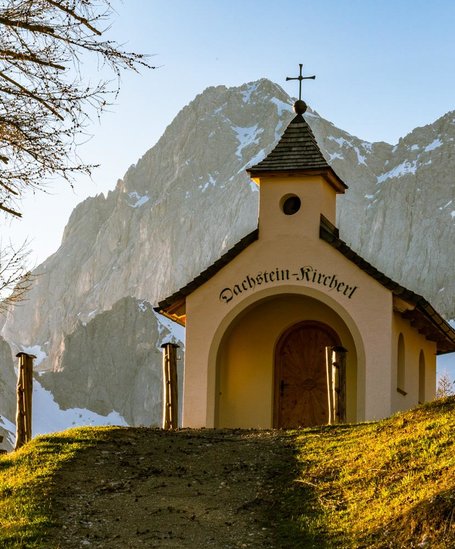 © Christine Höflehner