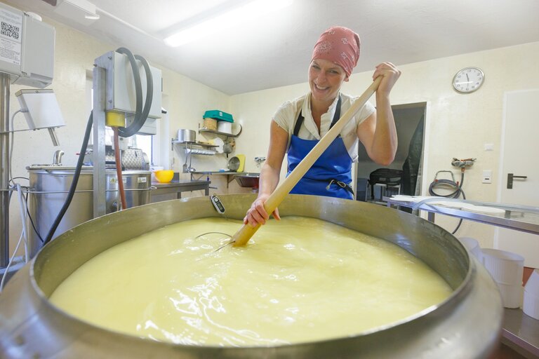 Käseproduktion, Engelhardthof | © Engelhardthof