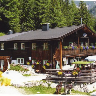 Hut "Jausenstation Fliegenpilz" with sunny terrace | © Fliegenpilz